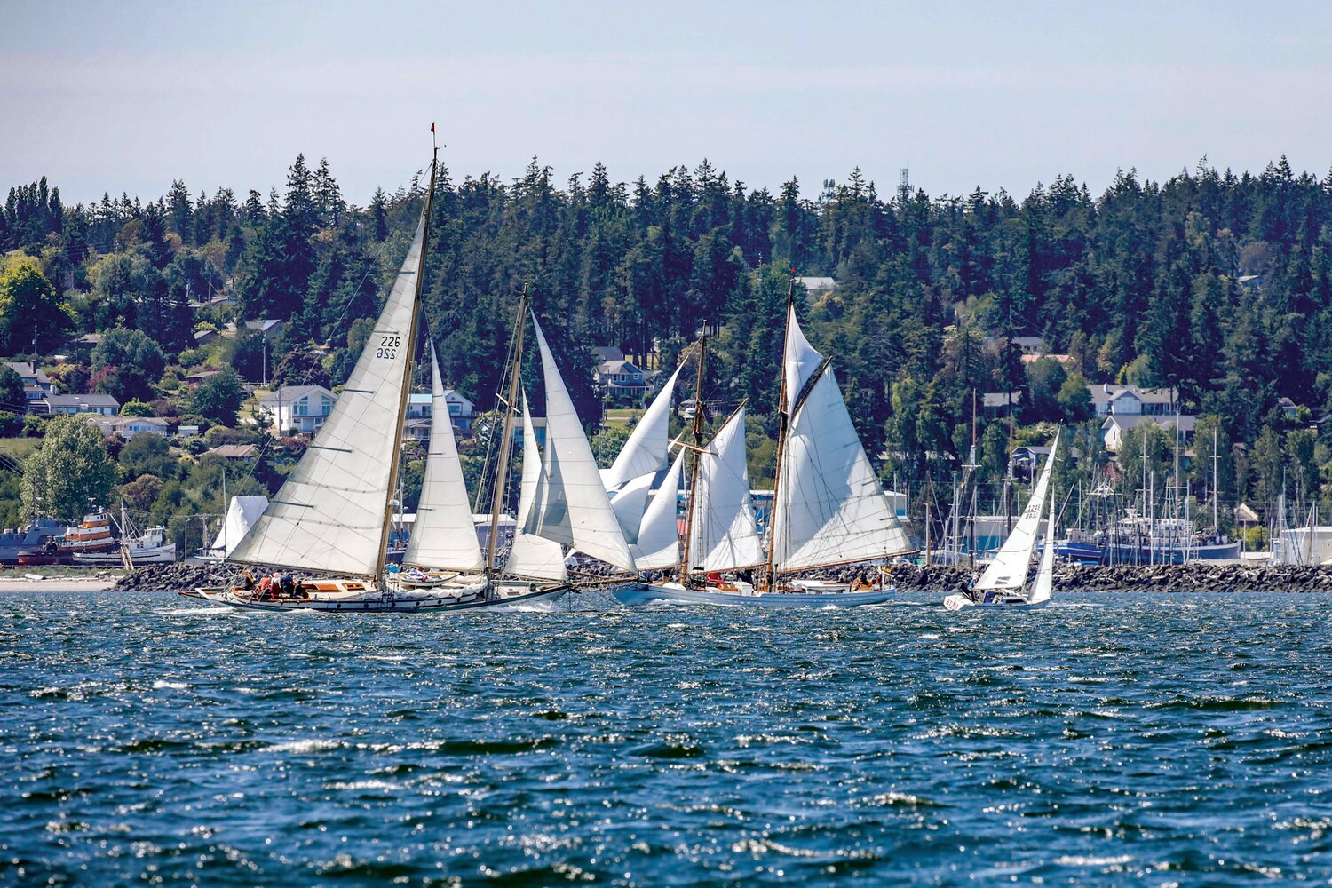 The water in Port Townsend Bay gets a bit choppy during the 40th annual Classic Mariners Regatta.